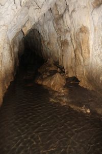 New Zealand: Fox River Caves